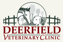 Deerfield Veterinary Clinic